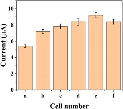 Graphene-Assisted Sensor for Rapid Detection of Antibiotic Resistance in Escherichia coli
